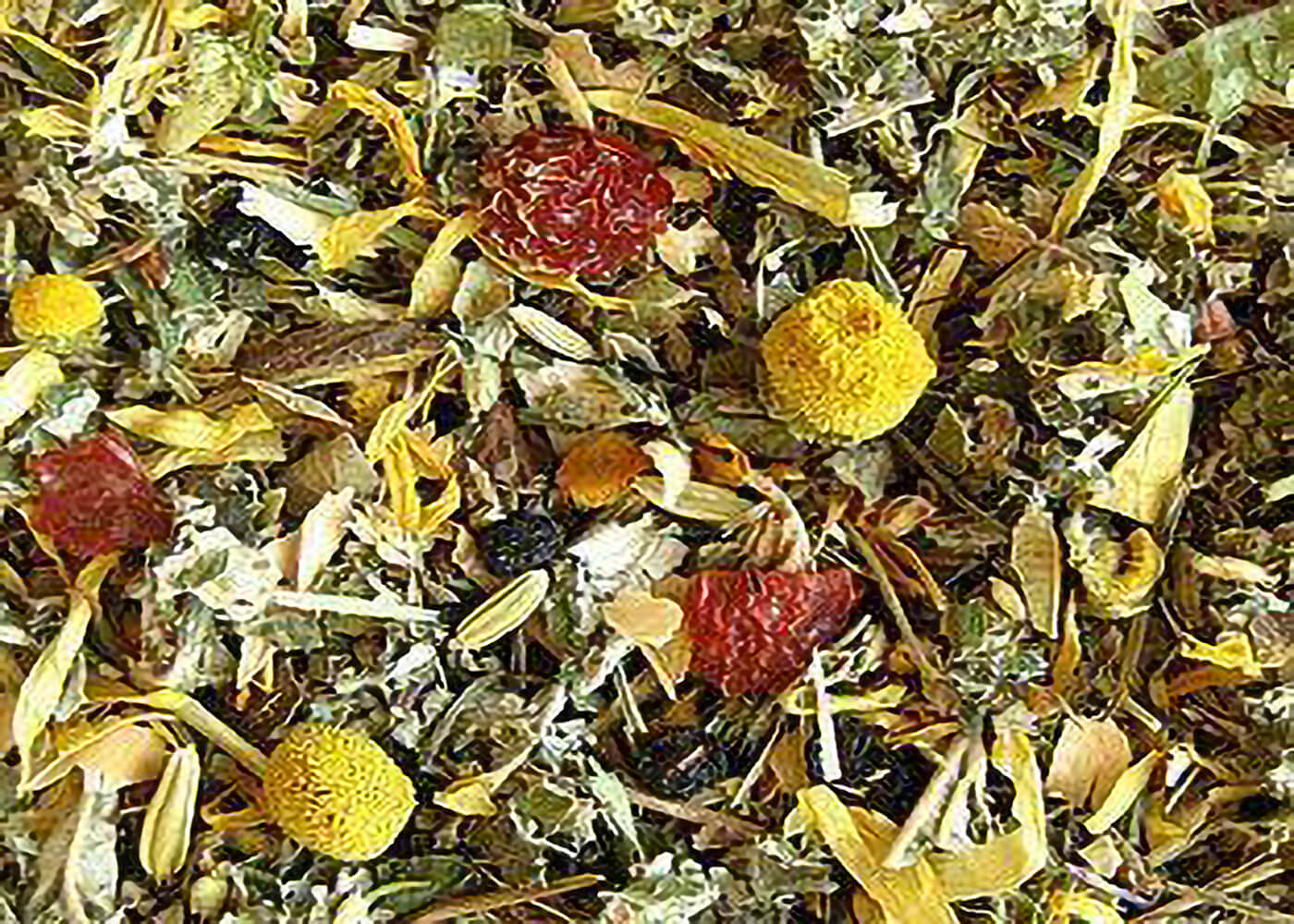 Vielkräuterhaustee - Kräutertee ohne Zusatz von Aroma