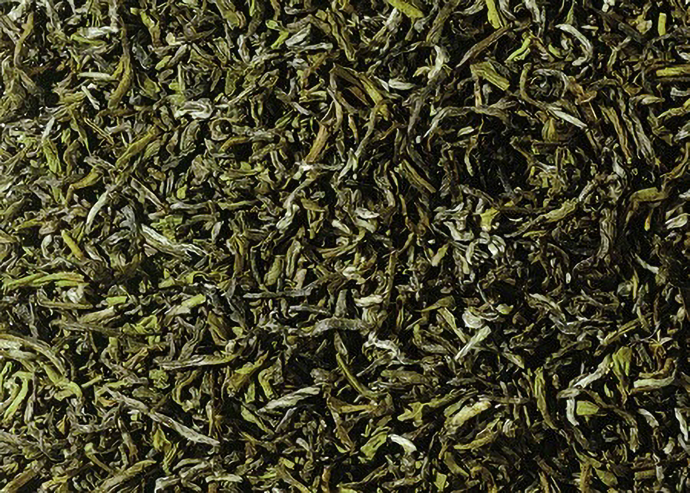 Bio Guranse Emerald Green - Grüner Tee aus Nepal