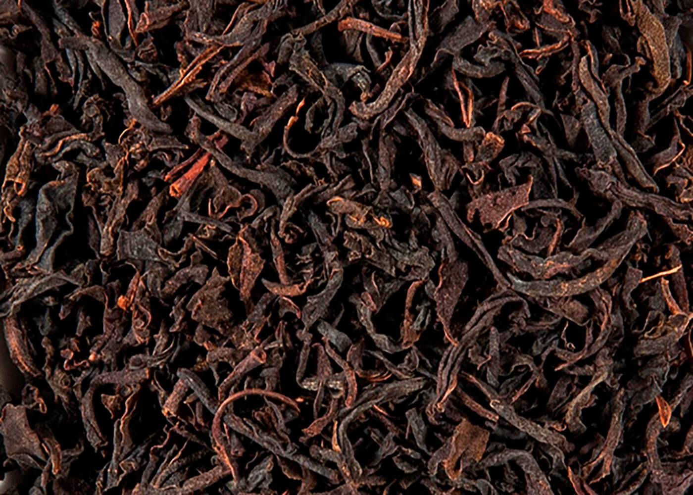 Bio Nilgiri TGFOP1 Thiashola - Schwarzer Tee
