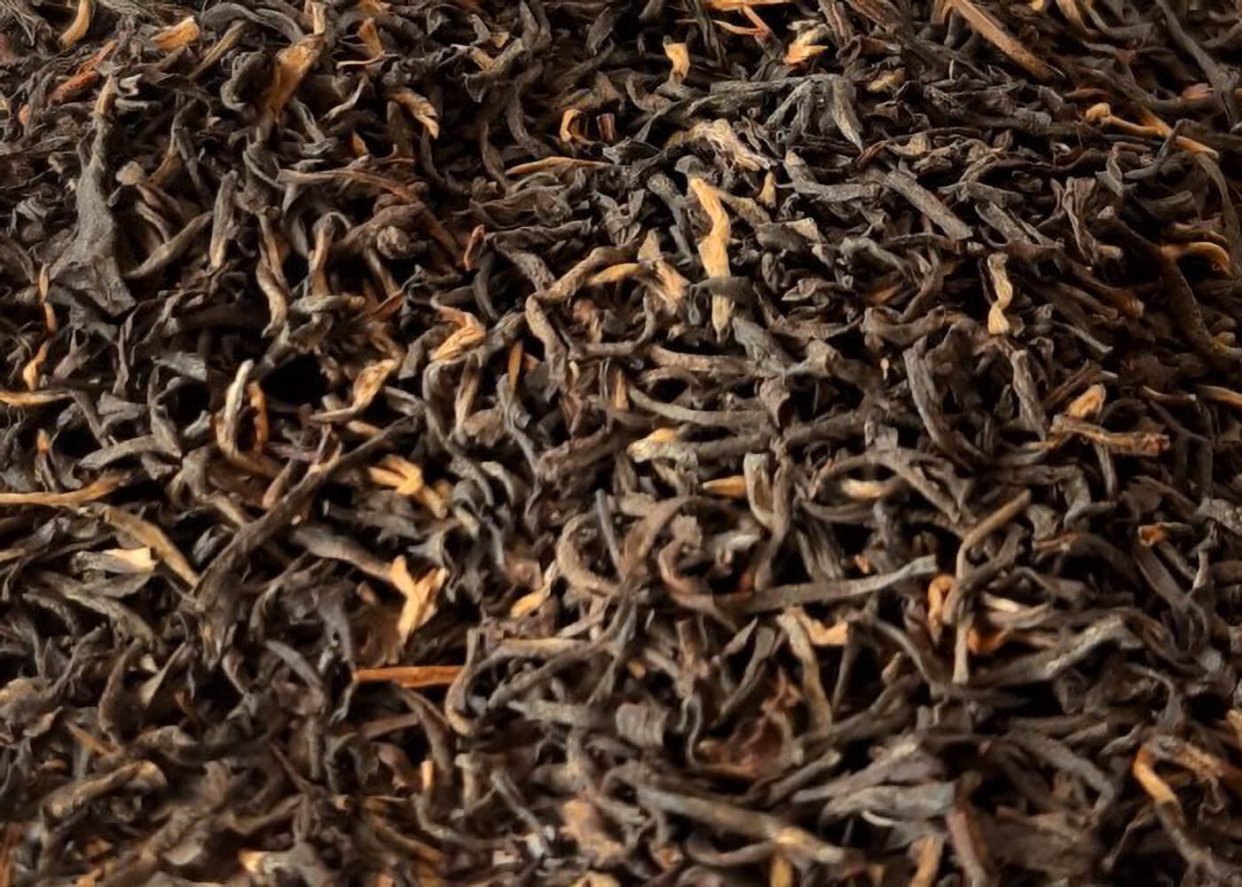 Assam DIRIAL TGFOP - Schwarzer Tee