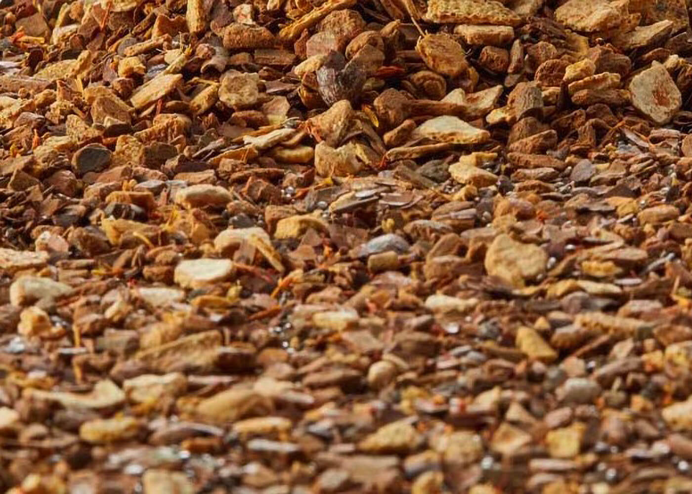 Bio Chia Chai - Gewürzteemischung ohne Aromazusatz - auslaufende Teesorte
