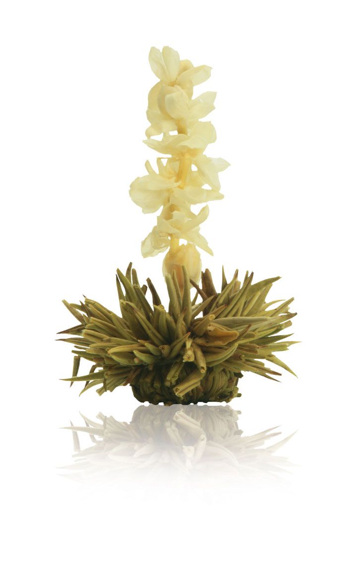 Erblüh Tee Set Geschenkset Frühjahrslese von Creano GmbH
