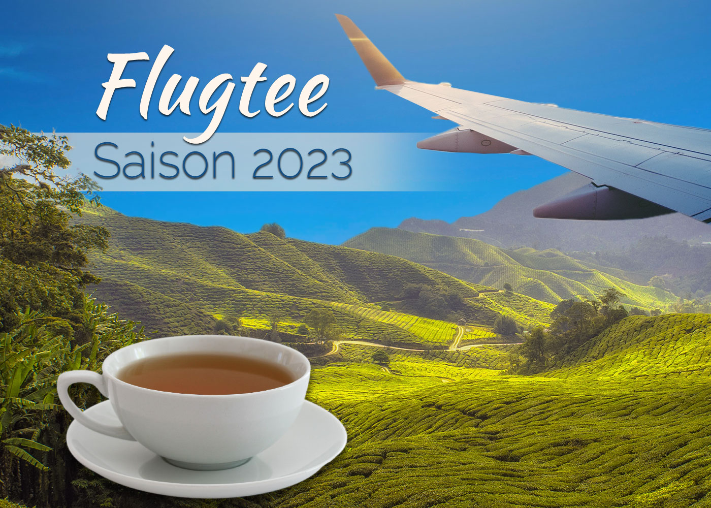 Nepal Flugtee Bio Shangri-La - Schwarzer Tee