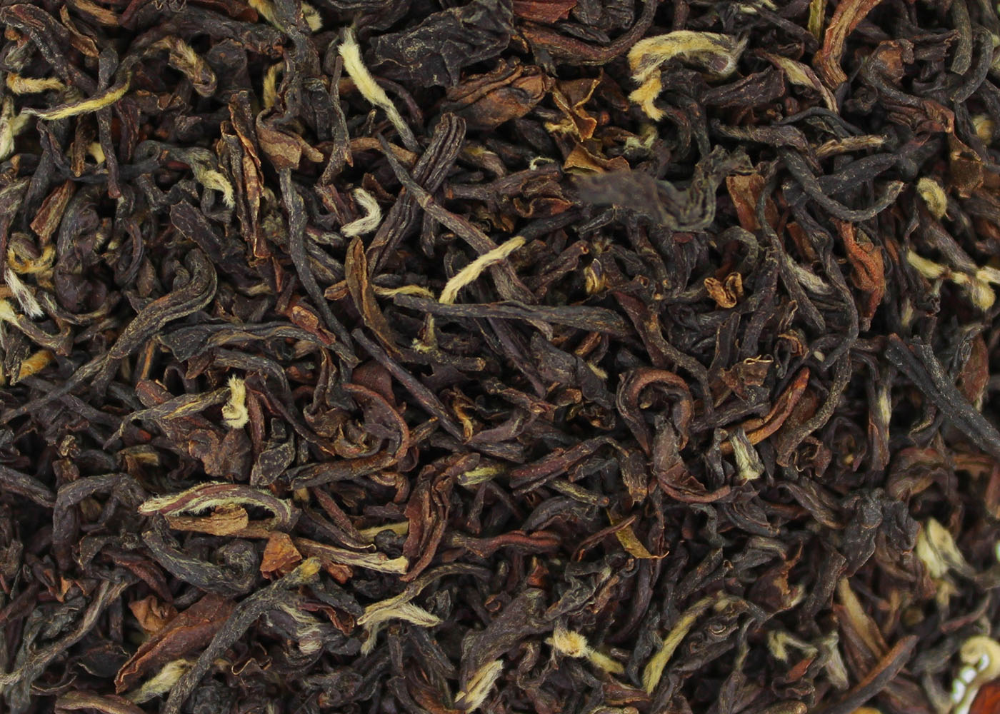 Darjeeling JUNGPANA second-flush SFTGFOP1