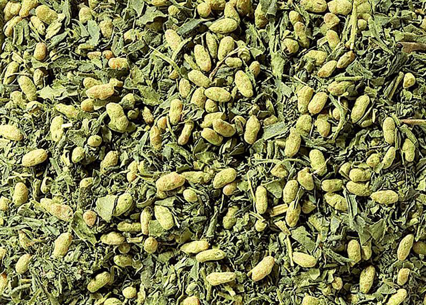 Bio Japan Matcha Genmaicha Grüner Tee