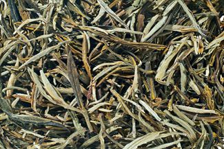 Gelber Tee China Huang Ya Yellow Tips