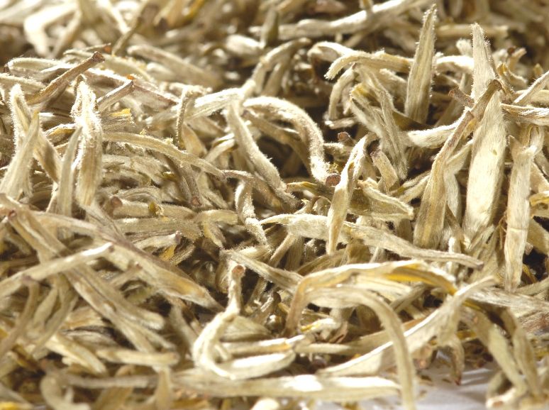 China Silverneedle Yin Zhen Premium 1st grade - Weißer Tee
