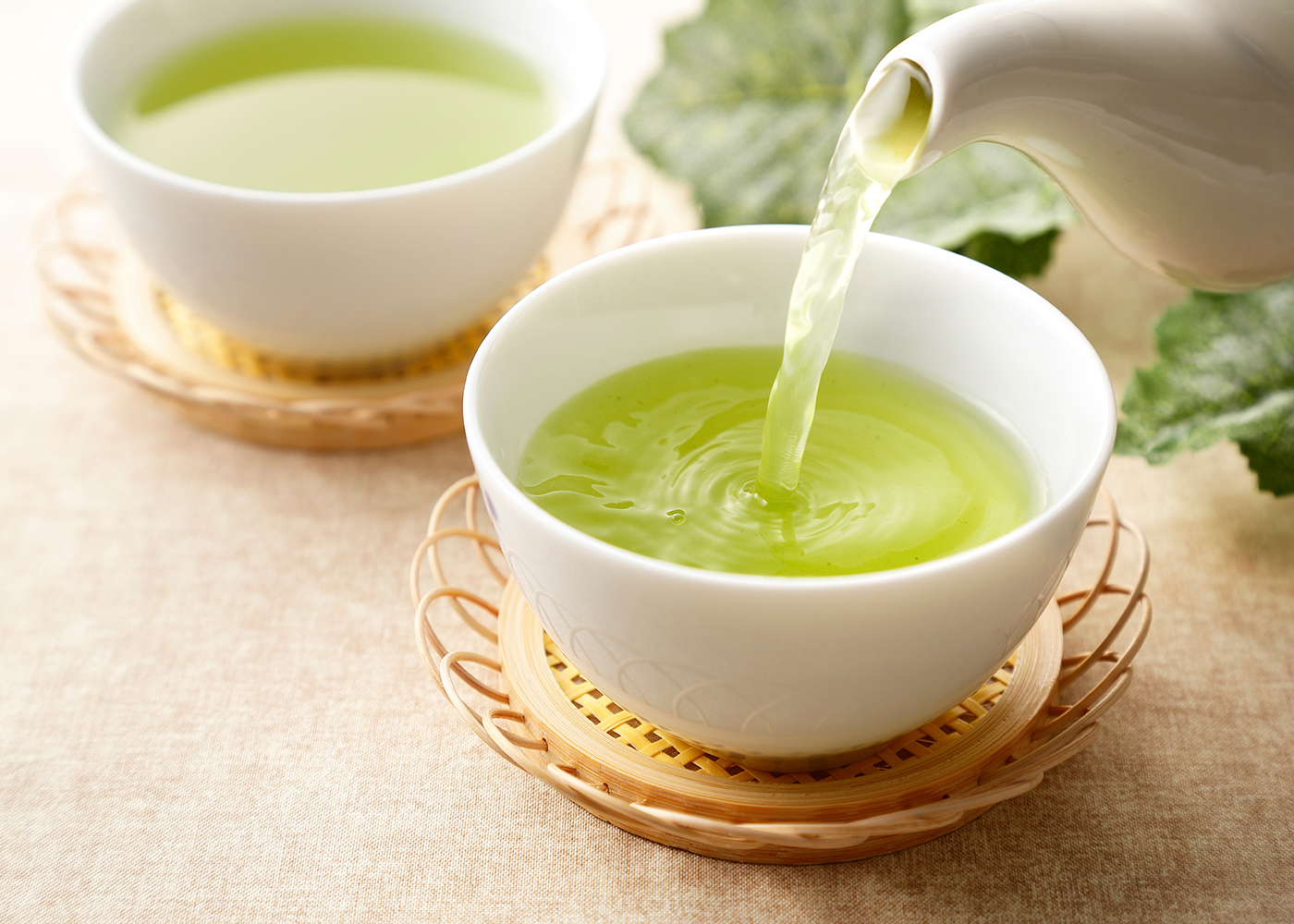 Bio Japan Shincha Makizono - Grüner Flugtee Ernte 2024