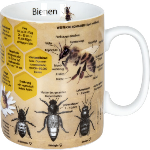 Wissensbecher Biene