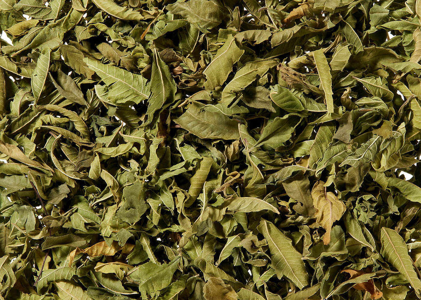 Bio Zitronenverbenenblätter ganz - Kräutertee