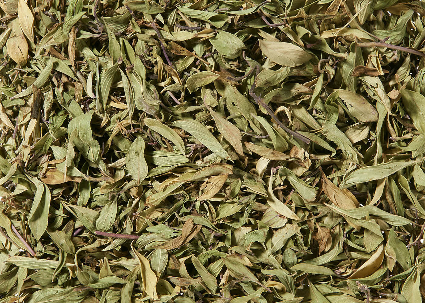Bio Bergthymian (Quendel) - Kräutertee