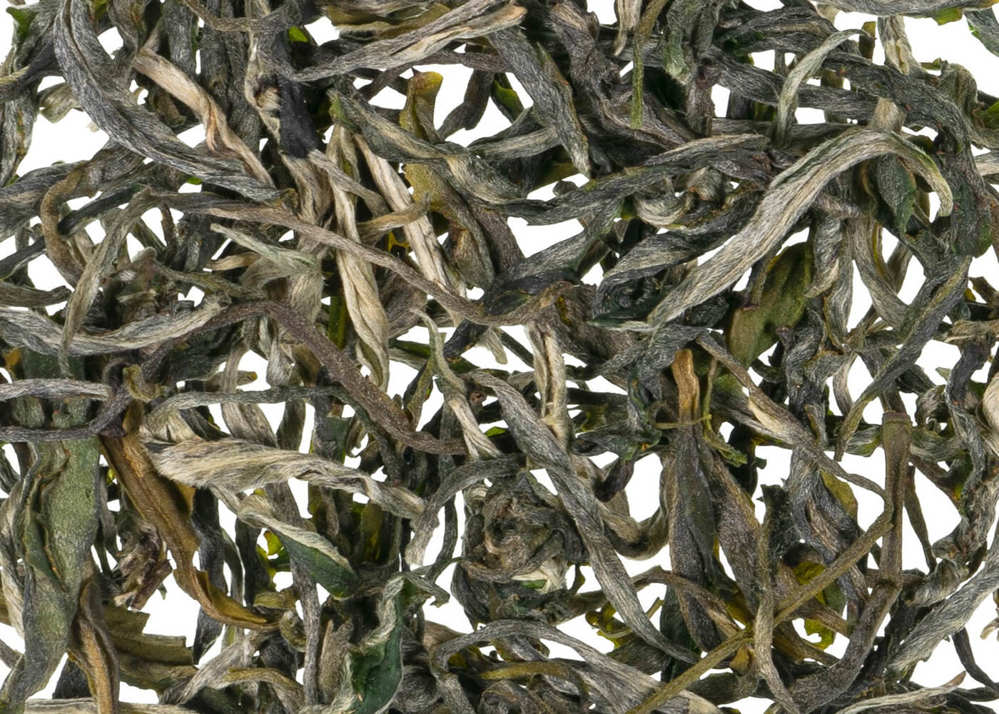 China Mao Feng - Grüner Tee