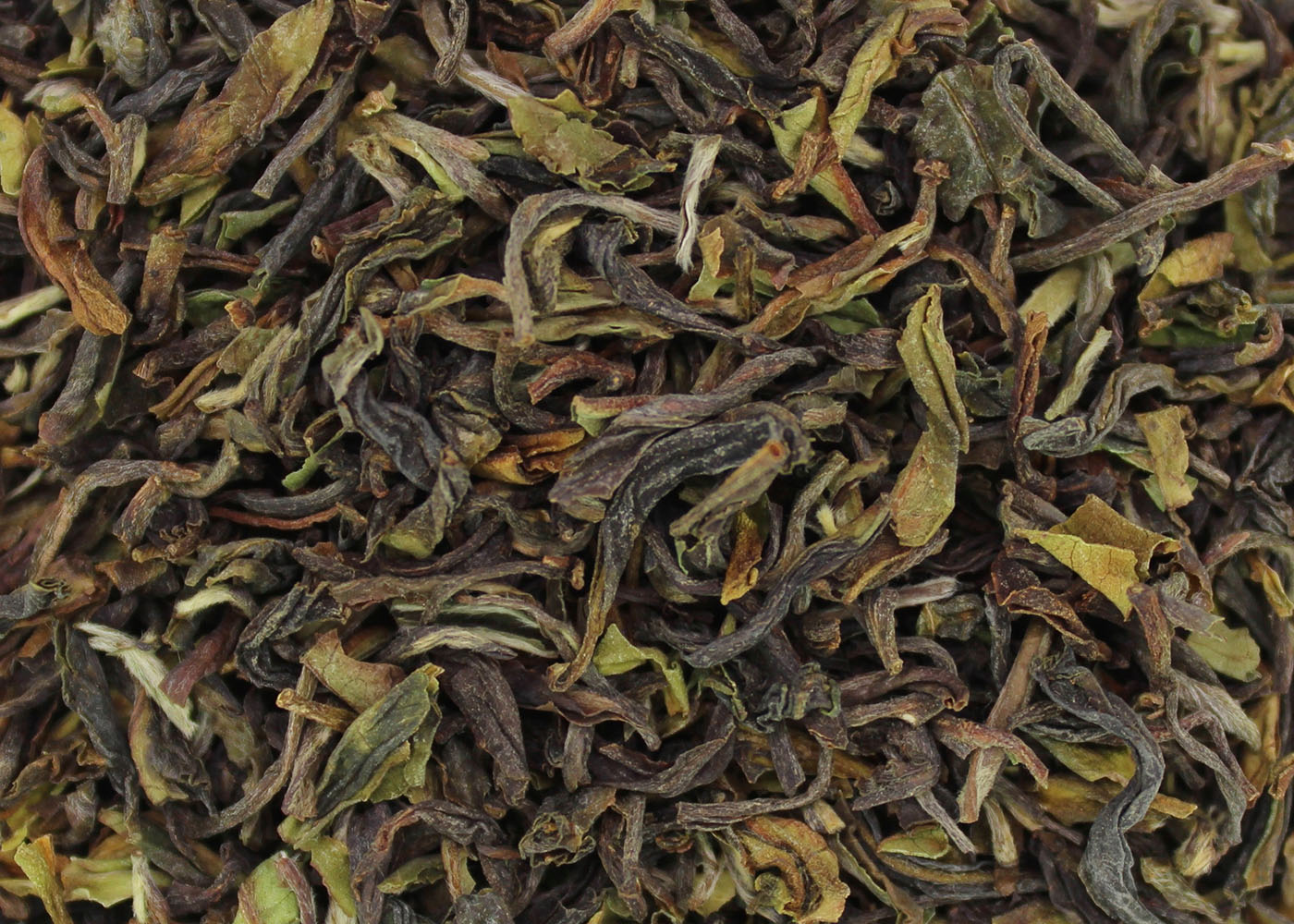 Sikkim Temi first flush SFTGFOP1 - Schwarzer Tee
