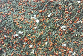 Bio Japan Genmaicha - Grüner Tee 