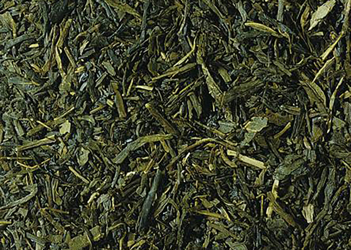 Japan Sencha Yamato - Grüner Tee