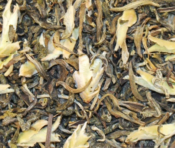 Grüner Drache - Grüner und weißer Tee ohne Zusatz von Aroma