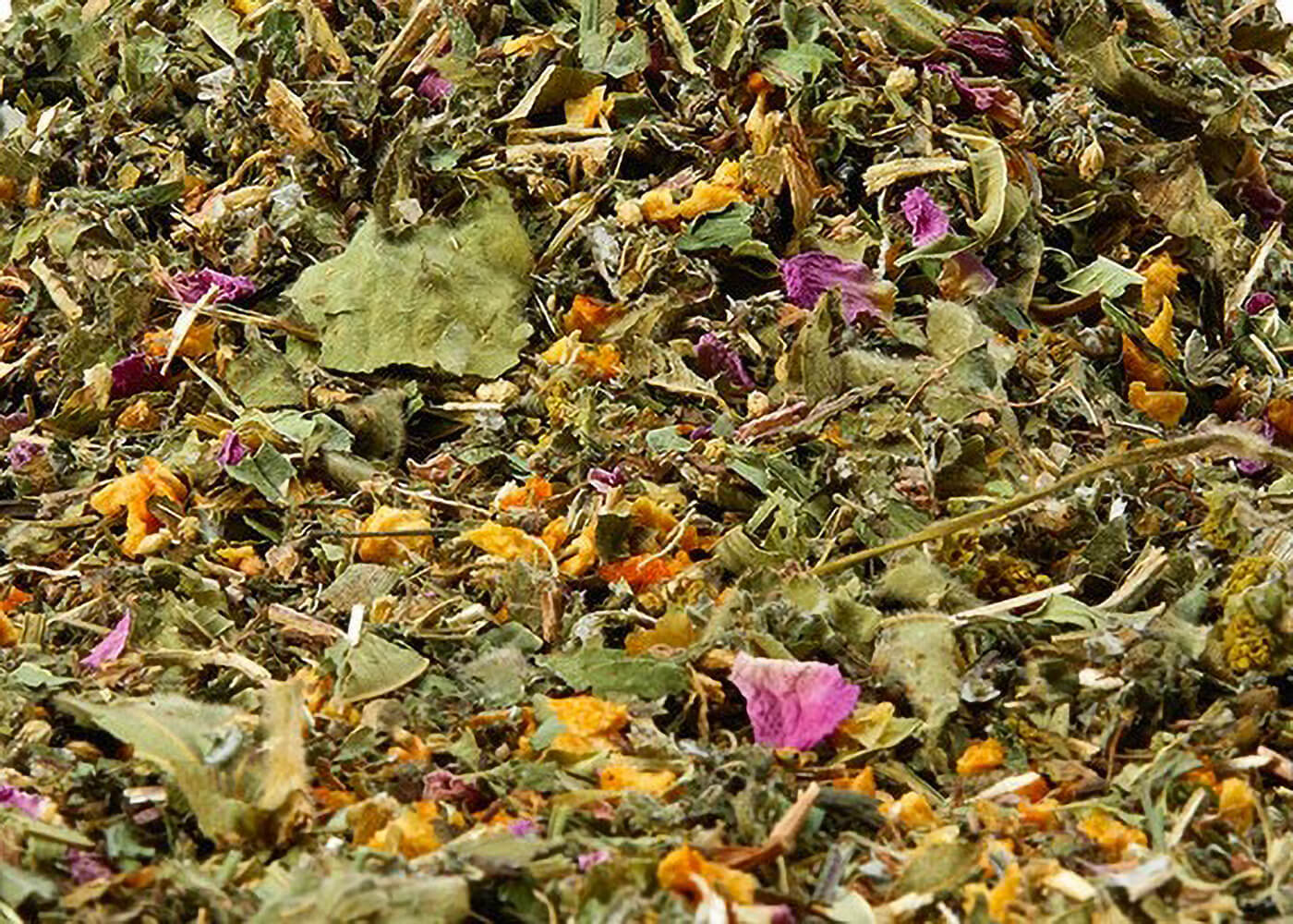 Bio Bittertee - Kräuterteemischung ohne Aromazusatz