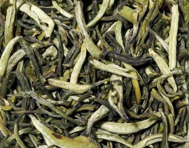 China Weißer Drache (Bai Long) - weißer Tee