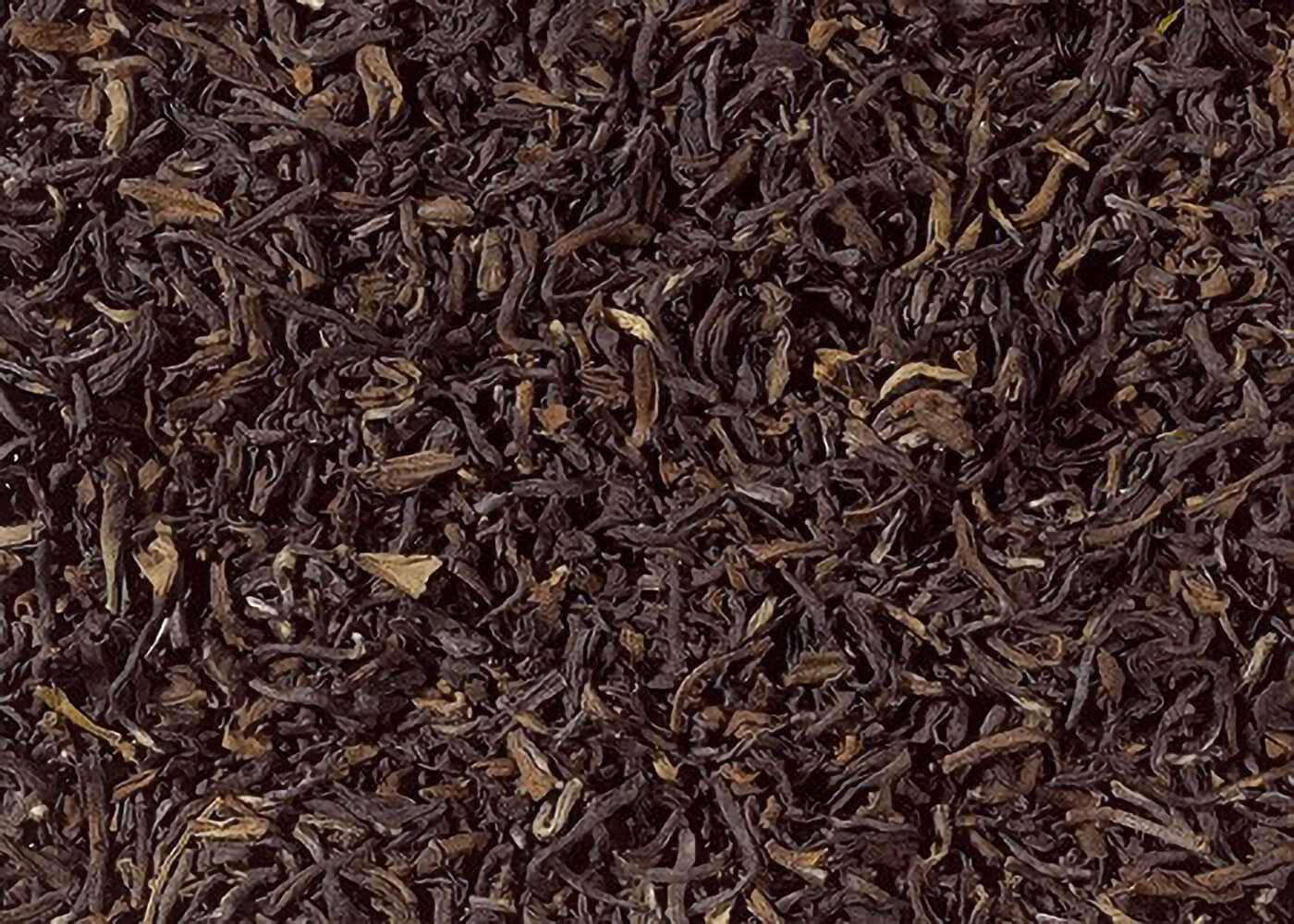 Darjeeling GFOP Autumnal  - Schwarzer Tee