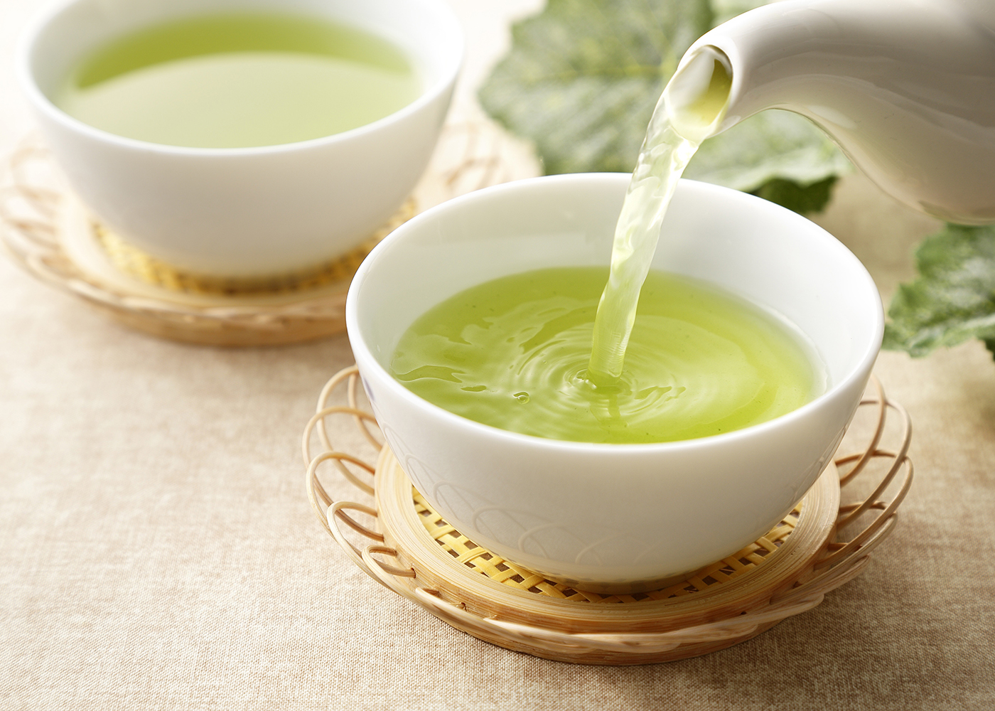 BIO China Sencha Lu Yu - Grüner AKTIONSTEE extra günstig bei 500g & 1kg