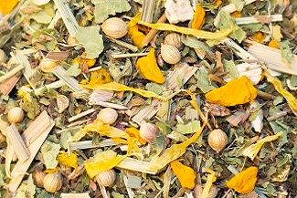 Bio Jung & Fit - Kräutertee ohne Zusatz von Aromen