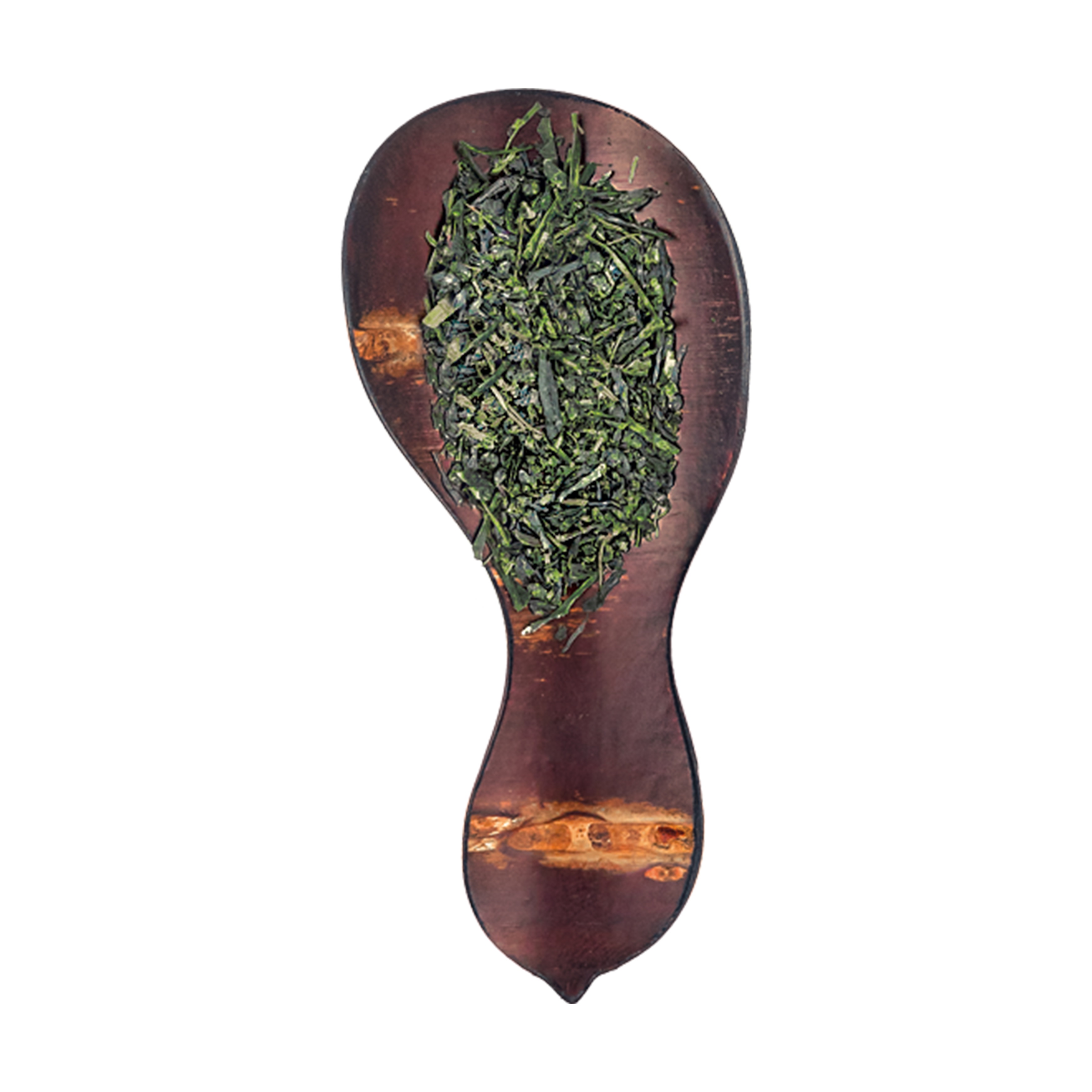 SAE TEZUMI 2023 - KABUSE SENCHA, Grüner Bio Tee aus Japan 40g - Keiko 