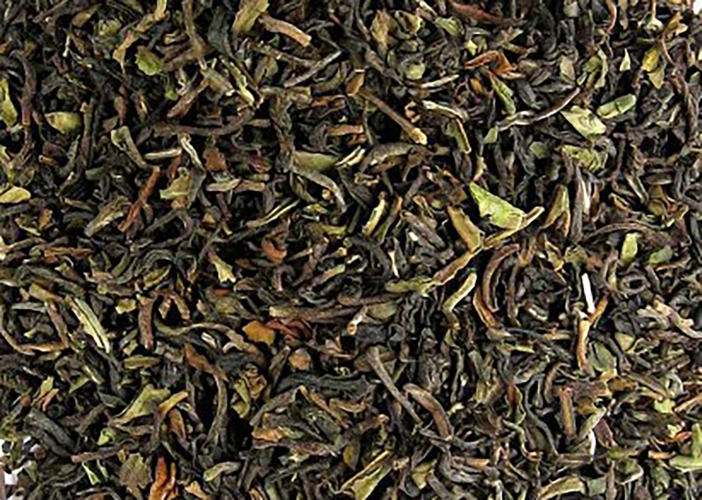 Darjeeling Tee first flush - Teeinitiative 100g Probierpackung