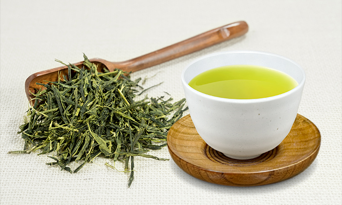 Sencha