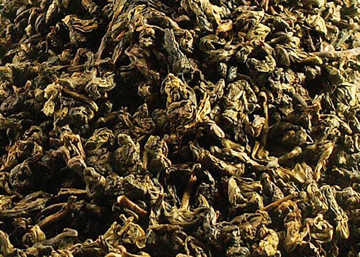 China Oolong Tit Kon Yum - Oolong Tee