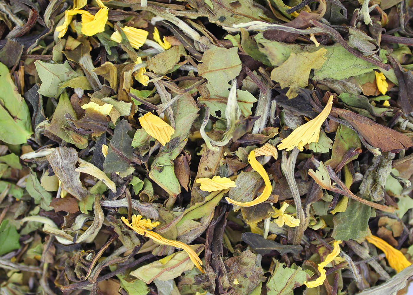 Mango - Weißer Tee aromatisiert
