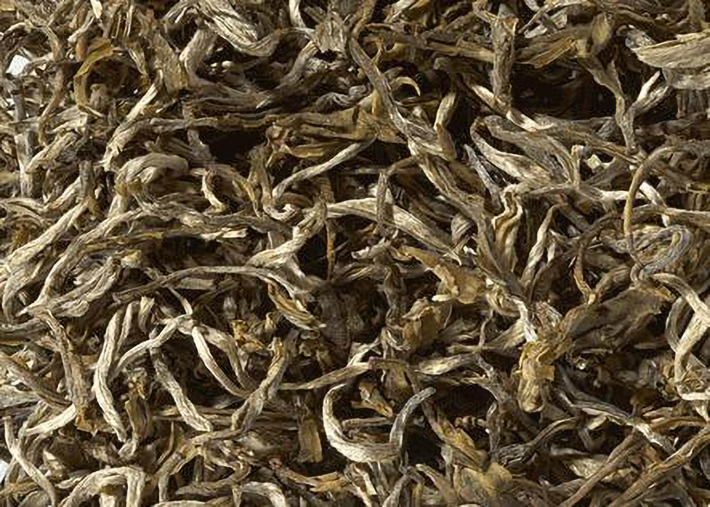 Bio Weißer Tee White Cui Min Spring Qingshan