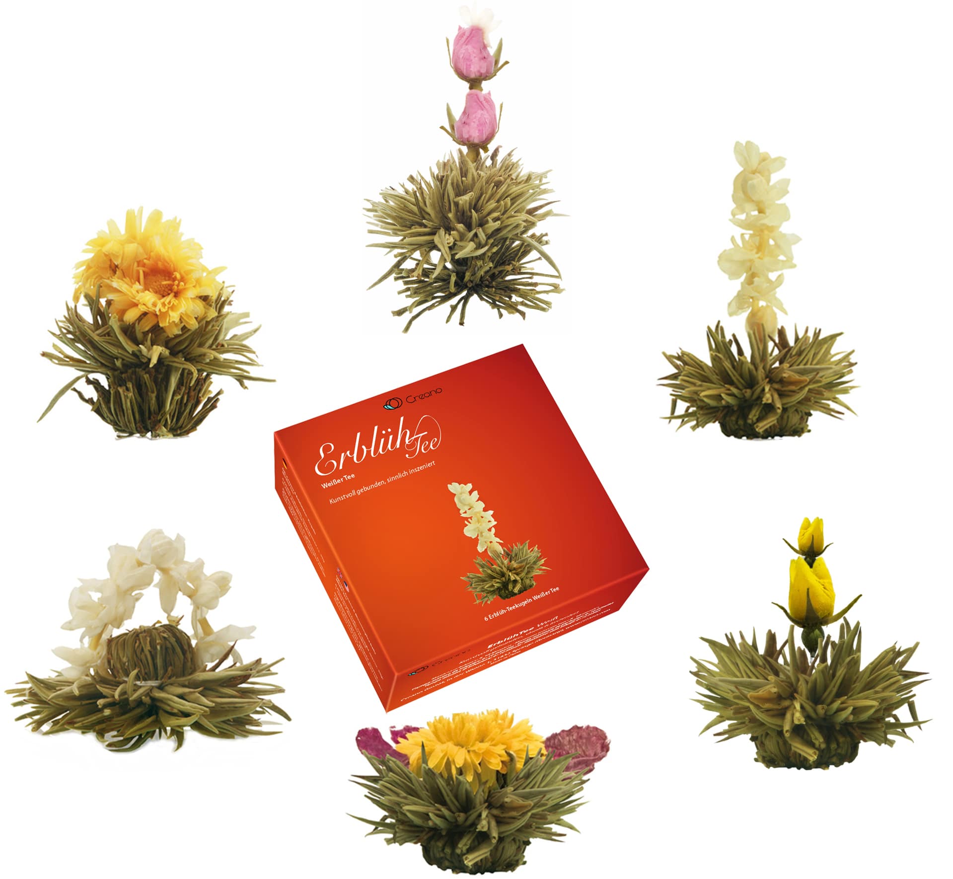 Erblüh Tee Nachfüllbox Frühjahrslese 6er von der Creano GmbH